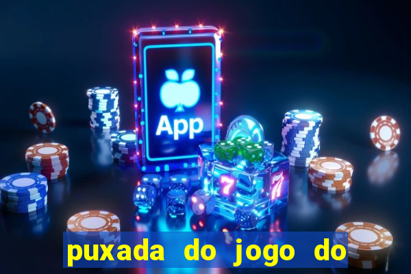 puxada do jogo do bicho da sueli